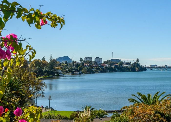  at 1 Eleventh Avenue, Avenues, Tauranga, Bay Of Plenty
