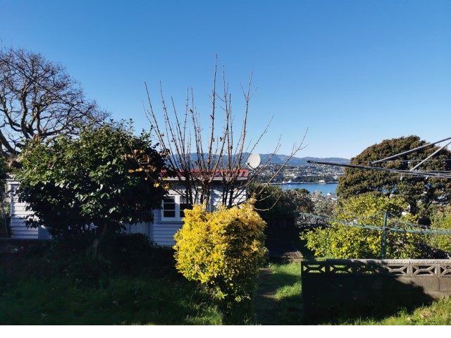  at 3/71 Rakau Road, Hataitai, Wellington, Wellington