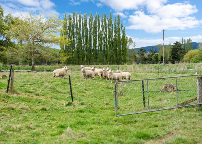  at 1 Pallion Street, Lawrence, Clutha, Otago