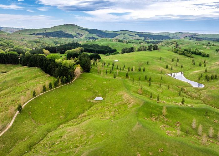  at 139 Clareinch Road, Omakere, Central Hawke's Bay, Hawke's Bay