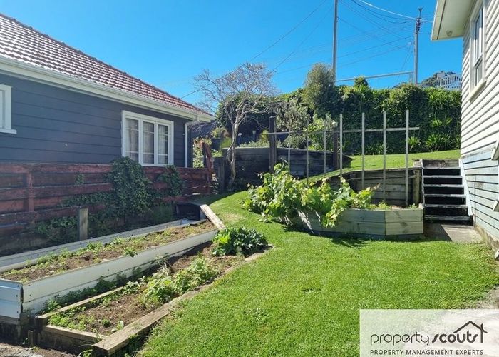  at 8 Lismore St, Strandon, New Plymouth, Taranaki