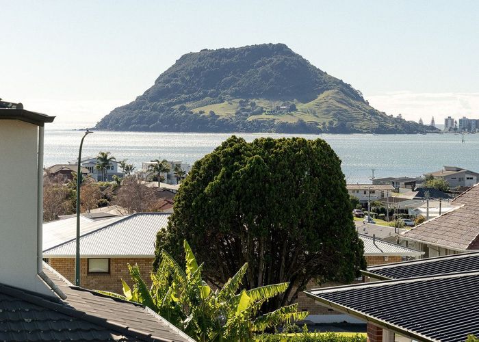  at 17 Lemon Grove Avenue, Otumoetai, Tauranga, Bay Of Plenty