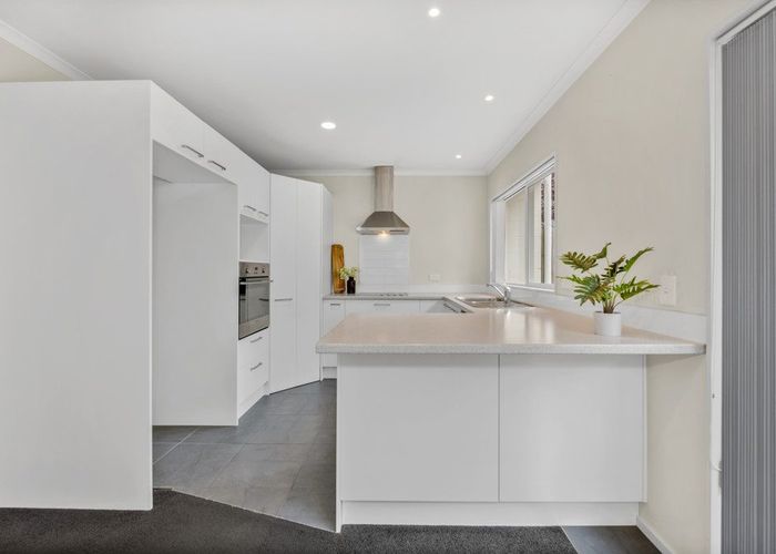  at 46E Packspur Drive, Flat Bush, Manukau City, Auckland