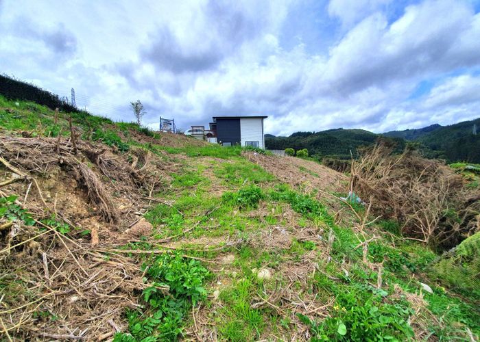  at 9 Lila Gillies Lane, Riverstone Terraces, Upper Hutt, Wellington
