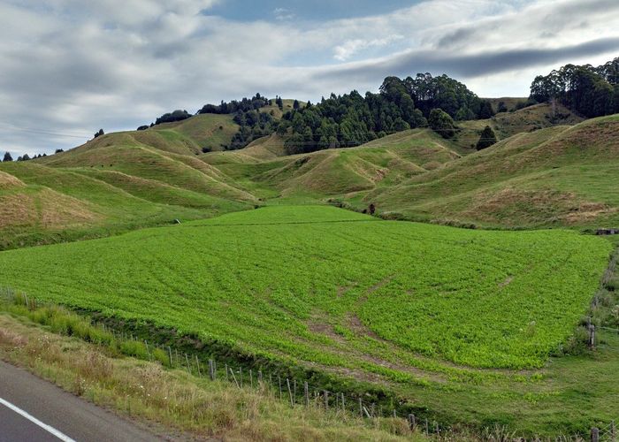  at 2140 State Highway 2, Nukuhou North, Whakatane, Whakatane, Bay Of Plenty