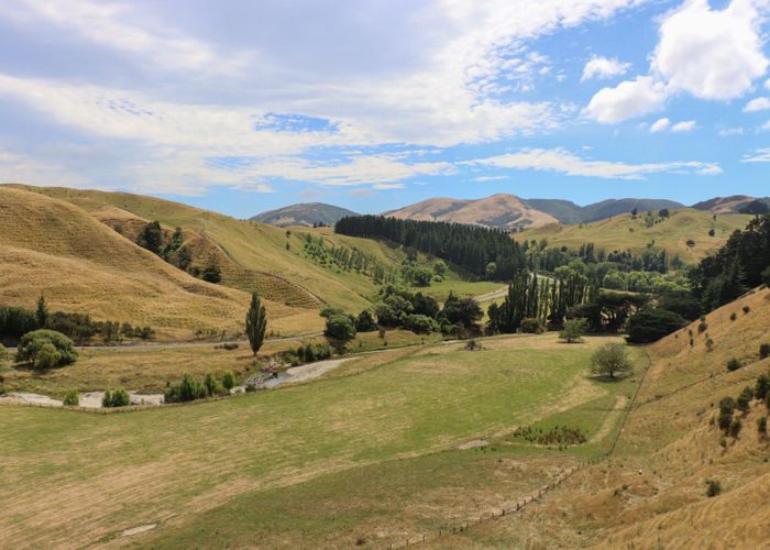  at 8401 Route 52, Dannevirke, Tararua, Manawatu / Whanganui