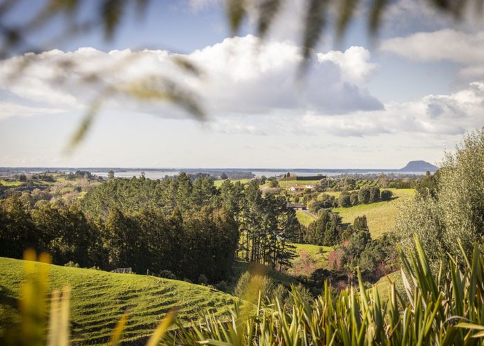  at 108A Plummer Road, Whakamarama, Western Bay Of Plenty, Bay Of Plenty