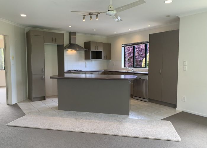  at 21 Merriman Place, Pyes Pa, Tauranga, Bay Of Plenty