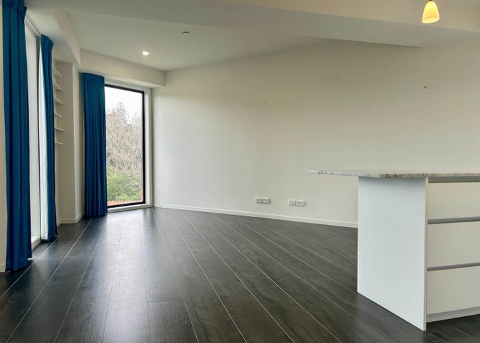  at 303/13 Cheshire Street, Parnell, Auckland City, Auckland