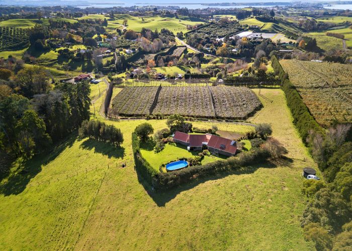  at 400 Old Highway, Whakamarama, Western Bay Of Plenty, Bay Of Plenty