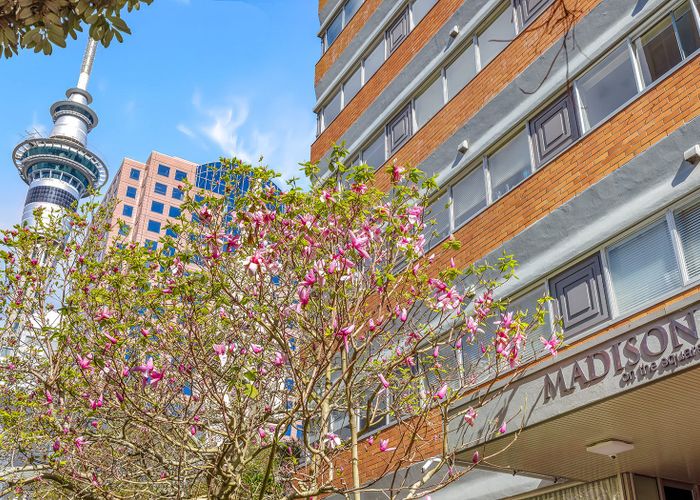  at 9B/37 Federal Street, City Centre, Auckland City, Auckland