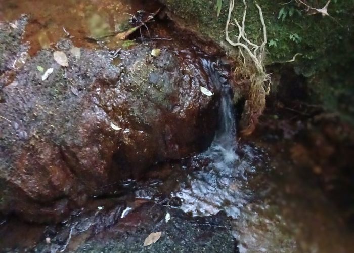  at 41 Pinehill Road, Pakaraka, Far North, Northland