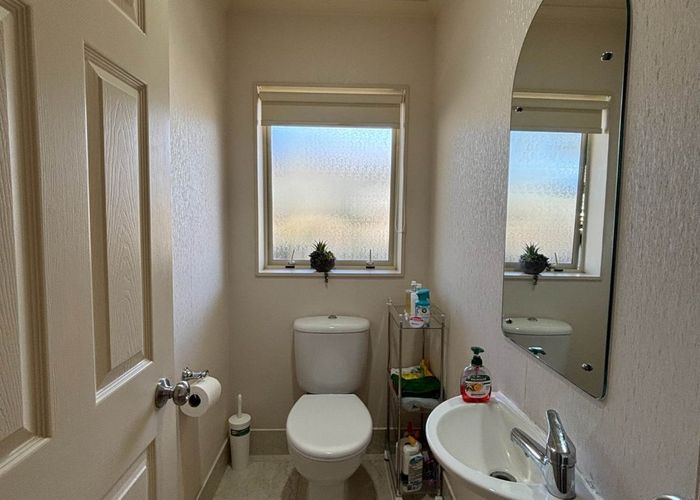  at 19 William Woods Court, Flat Bush, Manukau City, Auckland