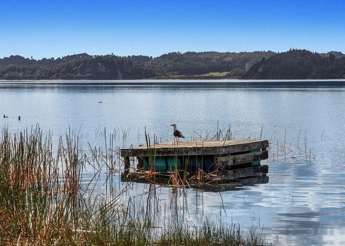  at 321 State Highway 30, Lake Rotoma, Rotorua, Bay Of Plenty