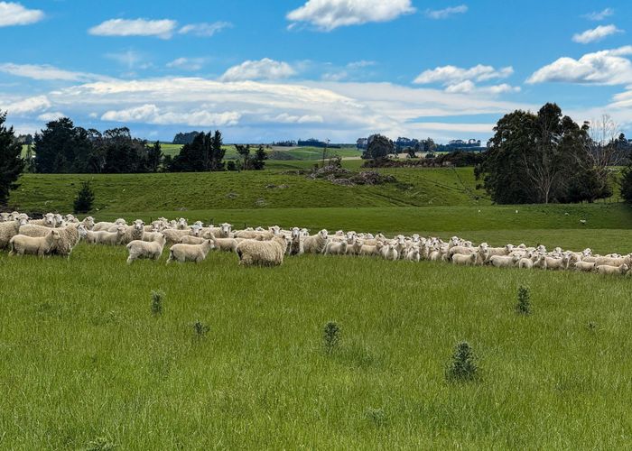  at 144 Block Road, Balclutha, Clutha, Otago