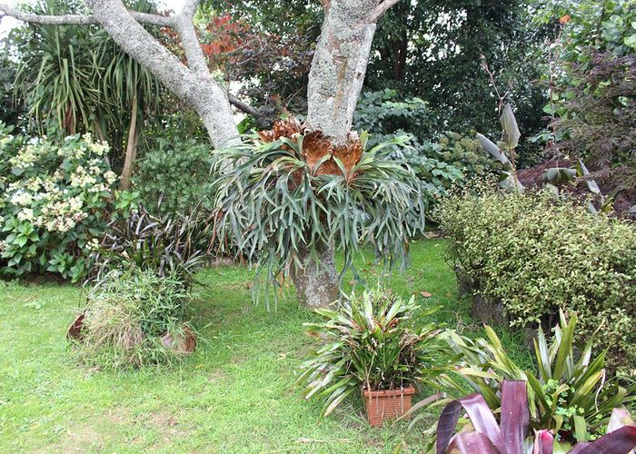  at 23 Woodleigh Road, Huntly, Waikato, Waikato