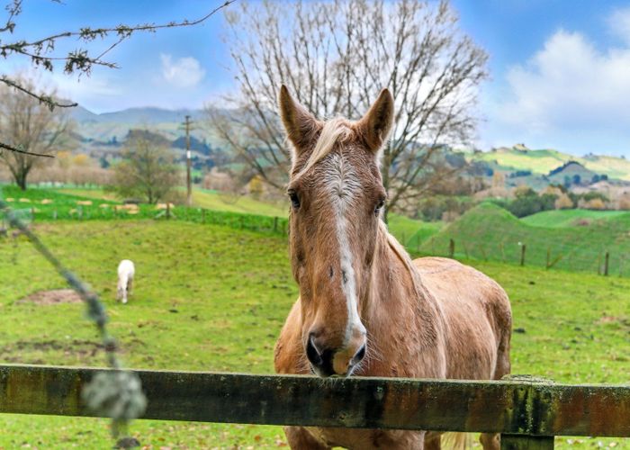  at 1001 Whirinaki Valley Road, Rotorua