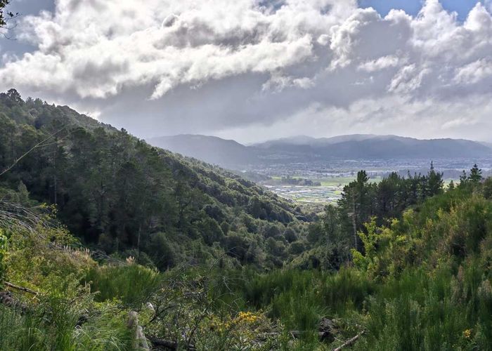  at 183 Blue Mountains Road, Blue Mountains, Upper Hutt, Wellington