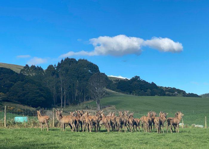  at Fenham Road, Otautau, Southland, Southland