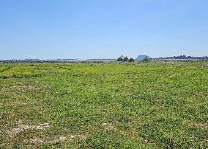  at 26A Teihana Road, Te Puna, Western Bay Of Plenty, Bay Of Plenty