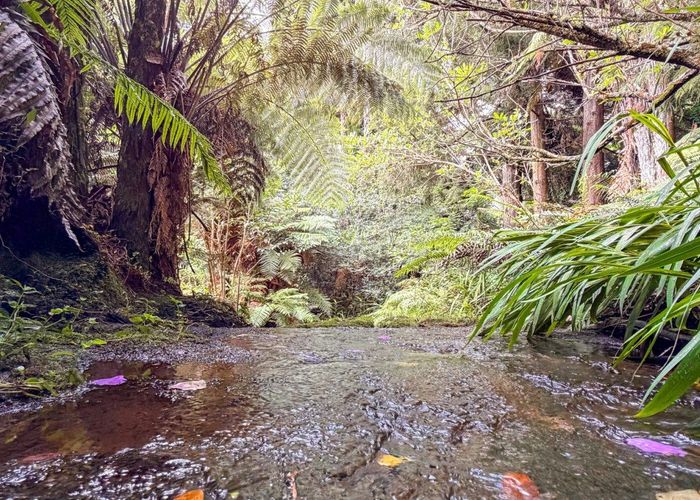  at 60 Victoria Street, Waikino, Waihi, Hauraki, Waikato