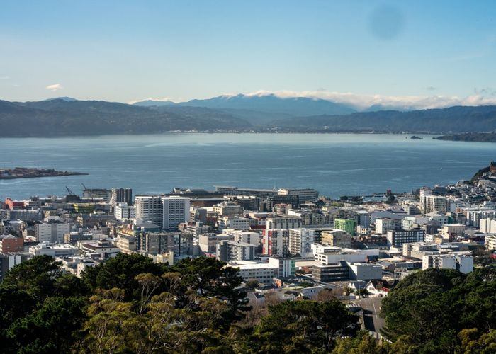  at 7/147 Ohiro Road, Brooklyn, Wellington, Wellington
