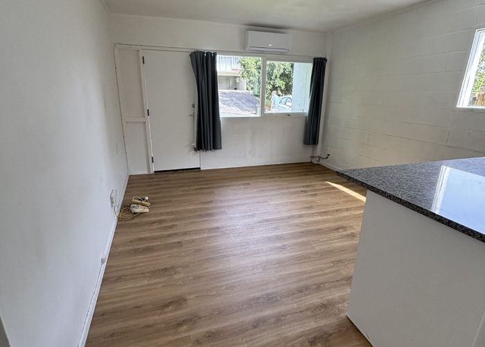  at 17 Don Croot Street, Kingsland, Auckland City, Auckland