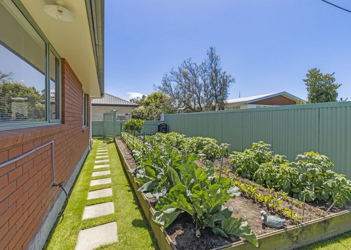  at 5 Bary Street, Springlands, Blenheim