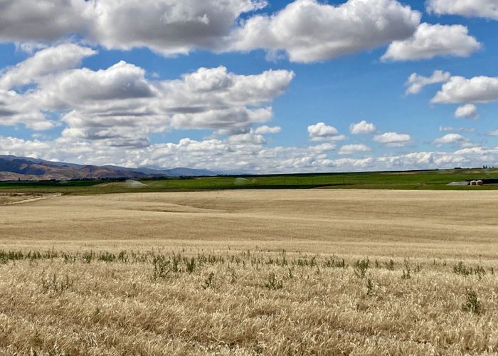  at 0 Waikerikeri Valley Road, Waikerikeri, Alexandra