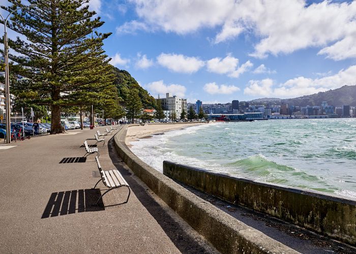  at 5B Hay Street, Oriental Bay, Wellington