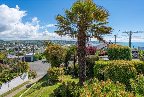  at 19 Tamar Street, South Hill, Oamaru