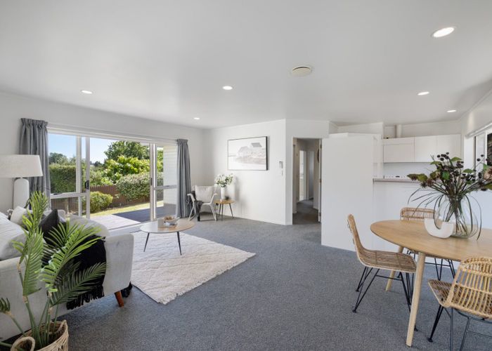  at 45A Harrier Street, Parkvale, Tauranga