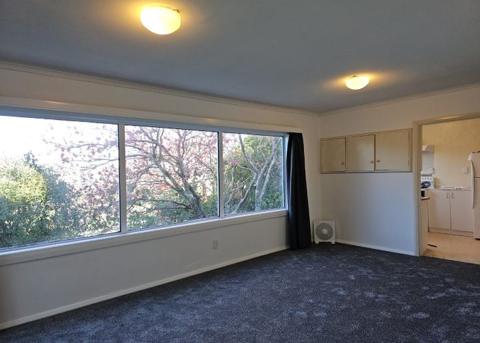  at 64A Salamanca Road, Kelburn, Wellington, Wellington