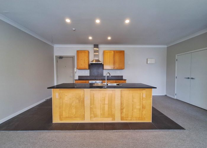  at 205/2 Gracechurch Drive, Flat Bush, Manukau City, Auckland