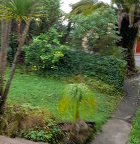  at 77 Royal Road, Massey, Auckland