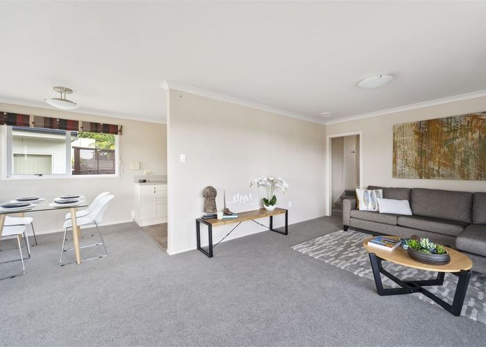  at 13 Edith Place, Dinsdale, Hamilton
