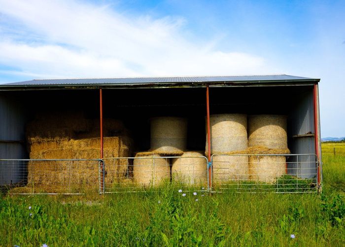  at 45 Arawa Street, Pipiroa, Hauraki, Waikato