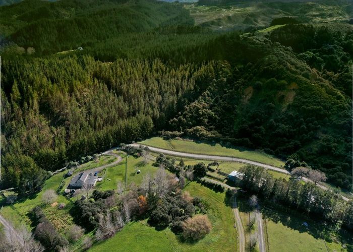 For sale 54 Rauhori Road, Kaukapakapa, Rodney, Auckland homes.co.nz