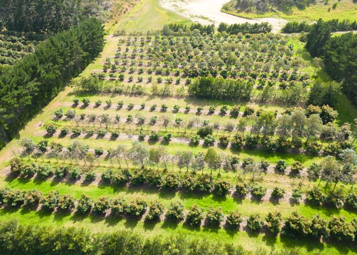  at 373 Kimberley Road, Ngataki, Far North, Northland