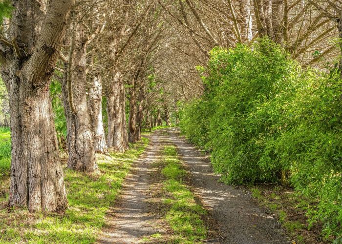 at 48 Eucalyptus Way, Nikau Valley, Paraparaumu