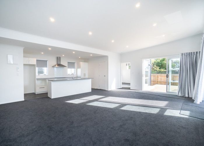  at 15b Haydon Street, Roslyn, Palmerston North, Manawatu / Whanganui