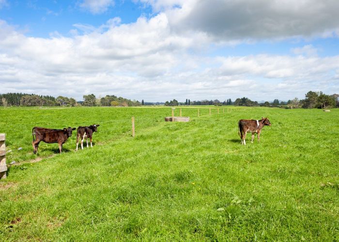  at 75 Carmichael Road, Tirau