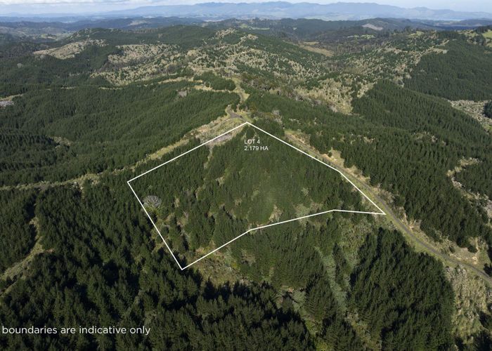  at Lot 3 and 4, 169 Tunatahi Road, Panguru, Far North, Northland