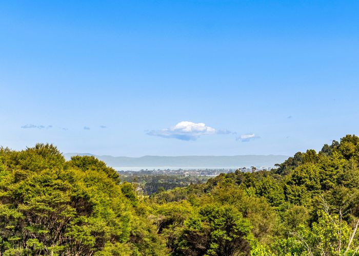  at 78 Judge Richardson Drive, Drury, Papakura, Auckland