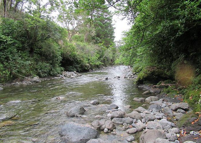  at 63 Mount Holdsworth Road, Mount Holdsworth, Carterton