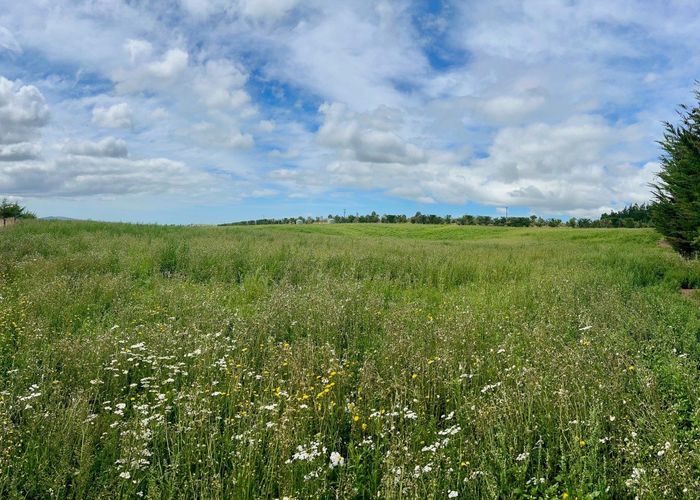  at Lot 1, 226 Cramptons Bush Road, Amberley, Hurunui, Canterbury