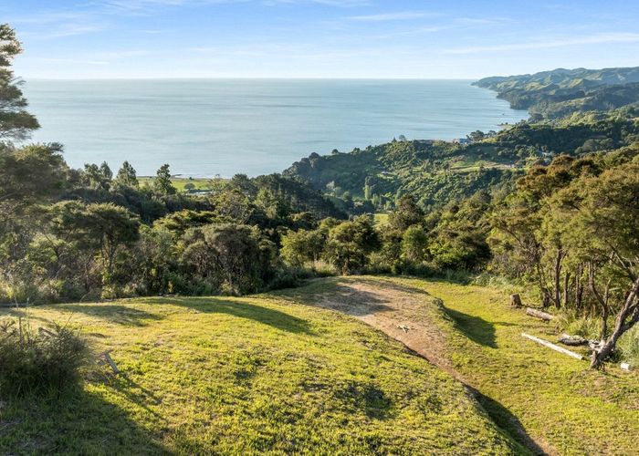  at 98 Tapu Rise Heights, Tapu, Thames-Coromandel, Waikato