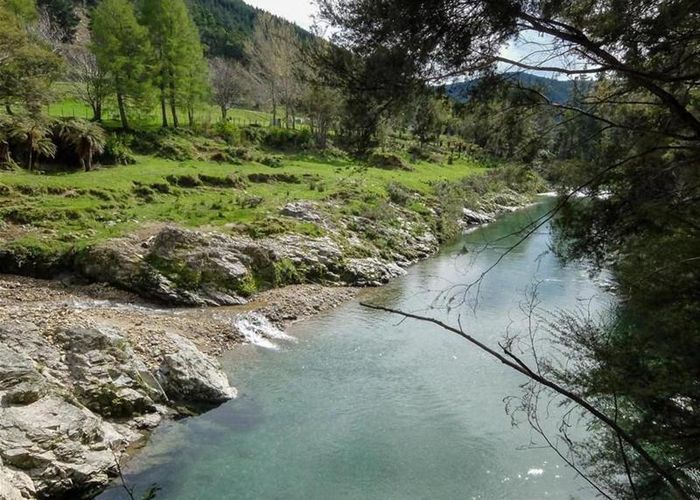  at 532 Wakamarina Road, Wakamarina