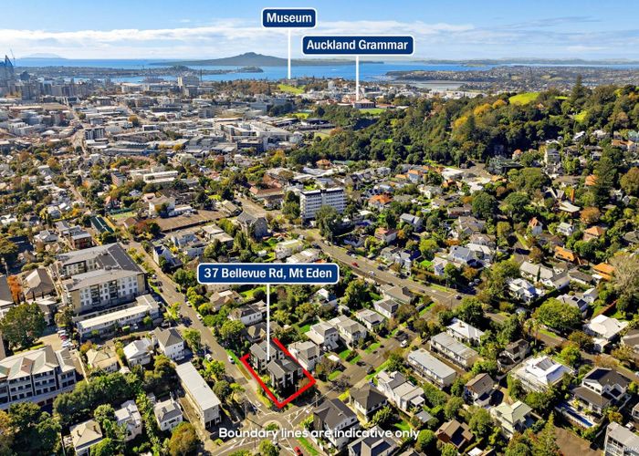  at 12B Sherbourne Road, Mount Eden, Auckland City, Auckland