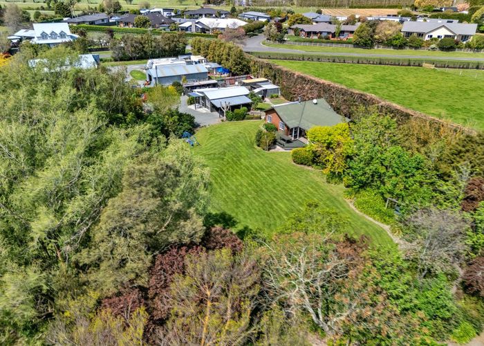  at 16 Maltby Street, Meeanee, Napier, Hawke's Bay